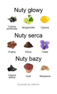 Byredo Bal d'Afrique Absolu – piramida nut zapachowych