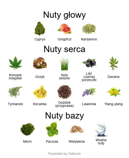 Bohoboco Bohoboco Magic Mushrooms – perfumy z grzybem, konopiami, kardamonem i paczulą