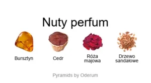 Ex Nihilo Amber Sky Signature Rose de Mai - piramida nut zapachowych