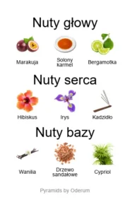 Amouage Love Hibiscus - piramida nut zapachowych