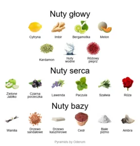 Nishane Ani X - piramida nut zapachowych