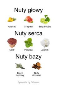 Nishane Hacivat - piramida nut zapachowych