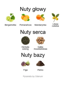 Nishane Wulong Cha - piramida nut zapachowych