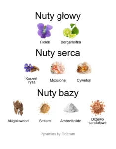 Nishane Meant To Be Seen - piramida nut zapachowych